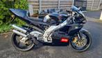 Aprillia 250 RSbwj 1995, Motoren, 250 cc, 2 cilinders, 12 t/m 35 kW, Sport