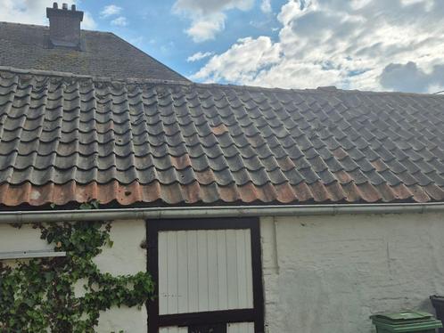 500 gebakken dakpannen vanop oude schuur, Doe-het-zelf en Bouw, Dakpannen en Dakbedekking, Gebruikt, Dakpannen, Steen of Klei