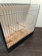 Transportkooi, tentoonstellingskooi , vogelkooi, Ophalen