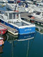 Vissersbootje, Watersport en Boten, Vis- en Consoleboten, Gebruikt, Binnenboordmotor, 6 meter of meer, Diesel