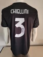 Chiellini gesigneerd Juventus shirt met Beckett coa, Verzamelen, Sportartikelen en Voetbal, Ophalen of Verzenden, Nieuw, Shirt