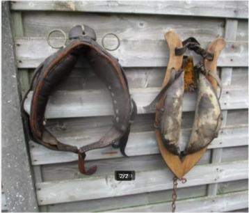 Een Stel Paardengetuig / Paardenhoofdstellen beschikbaar voor biedingen
