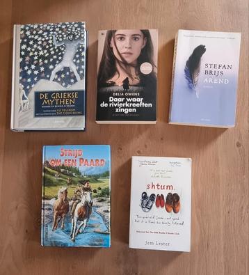 Fictie leesboeken te koop beschikbaar voor biedingen