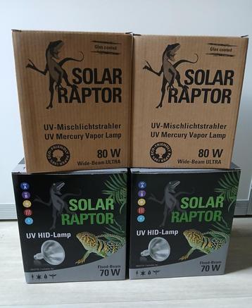 Ampoules solar raptor, Enlèvement