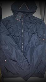 Veste tommy hilfiger homme, Vêtements | Hommes, Vestes | Été, Enlèvement ou Envoi, Neuf, Autres tailles
