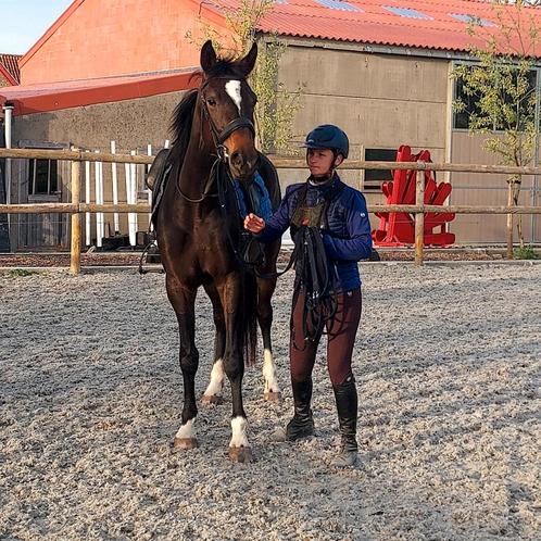 3 jarige dressuurmerrie zadelmak., Dieren en Toebehoren, Paarden, Merrie, L, 165 tot 170 cm, 3 tot 6 jaar, Dressuurpaard, Met stamboom