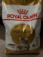 Maine Coon 10kg, Dieren en Toebehoren, Ophalen
