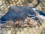 Regendeken, Dieren en Toebehoren, Ophalen of Verzenden, Zo goed als nieuw