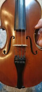 viool, linkshandig, custom made, one-piece-back., Muziek en Instrumenten, Strijkinstrumenten | Cello's, Zo goed als nieuw, Ophalen