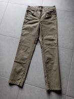 Massimo Dutti : nieuw taupe bruin lange broek rechte pijp S, Kleding | Dames, Broeken en Pantalons, Nieuw, Ophalen of Verzenden