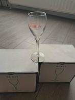 Champagne glazen 12 stuks NIEUW, Nieuw, Ophalen