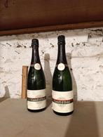 Cava 2 flessen Castell d'Ordal 1999, Ophalen of Verzenden, Zo goed als nieuw
