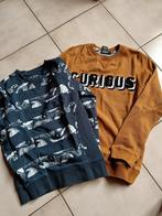 2 Jongen truien maat 134/140, Kinderen en Baby's, Kinderkleding | Maat 134, Ophalen, Gebruikt
