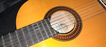 Guitare Flamenco - Casa Ferrer Grenade beschikbaar voor biedingen