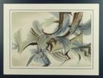 aquarelle insecte signe andre hupet, Ophalen