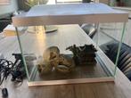 Aquarium met accessoires, Ophalen, Zo goed als nieuw, Leeg aquarium