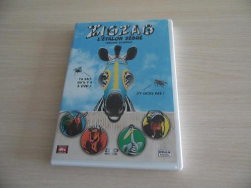 2 DVD           ZIG-ZAG L'ÉTALON ZÉBRÉ, CD & DVD, DVD | Films d'animation & Dessins animés, Comme neuf, Américain, À partir de 6 ans