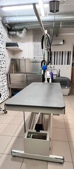 Trimtafel elektrisch Ravenstein pro groom, Dieren en Toebehoren, Ophalen, Gebruikt