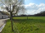 Weide / Landbouwgrond, Verkoop zonder makelaar, 1500 m² of meer