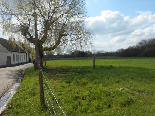 Weide / Landbouwgrond, Immo, Gronden en Bouwgronden, 1500 m² of meer, Verkoop zonder makelaar