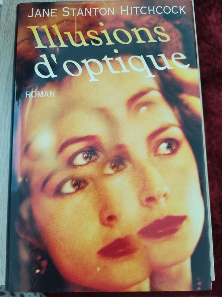 "Illusions d'optique" de Jane Stanton Hitchcock, Boeken, Romans, Zo goed als nieuw, Amerika, Ophalen of Verzenden