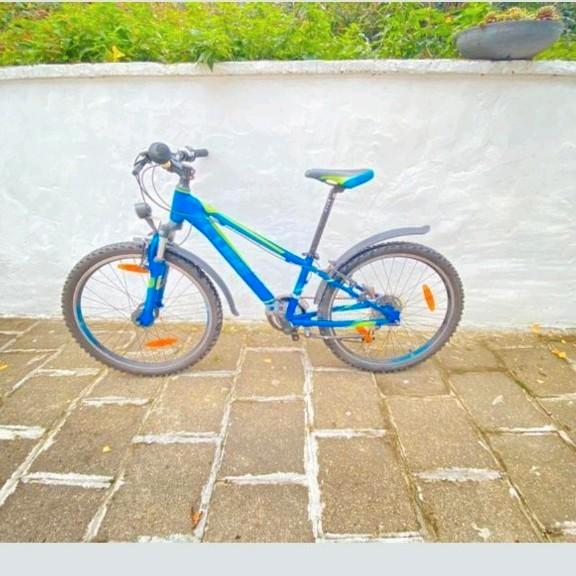 Cube fiets, Fietsen en Brommers, Fietsaccessoires | Aanhangwagens en Karren, Nieuw, Overige typen, 40 tot 60 kg, Vering, Ophalen