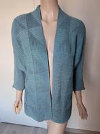 Vest Dame Blanche maat XL, Vêtements | Femmes, Enlèvement ou Envoi, Comme neuf, Taille 46/48 (XL) ou plus grande