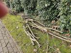 gratis hout, Tuin en Terras, Brandhout, Ophalen