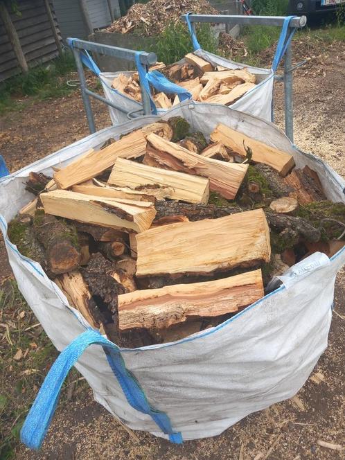 Brandhout perenboom, Tuin en Terras, Brandhout, Blokken, Overige houtsoorten, Minder dan 3 m³, Ophalen