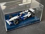 Minichamps Williams F1 BMW FW24 Montoya, Ophalen of Verzenden, MiniChamps