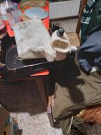 Ruiten wisser reservoir ford escort, Ophalen of Verzenden, Ford