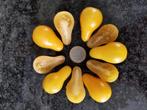 gele peertomaatjes - 5 zaden, Voorjaar, Zaad, Verzenden