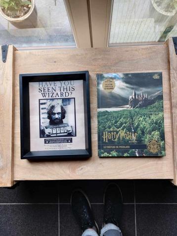 Livre et cadre Harry Potter super état