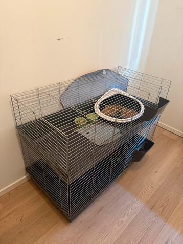 Bunny, small animal cage FOR FREE, available immediately beschikbaar voor biedingen