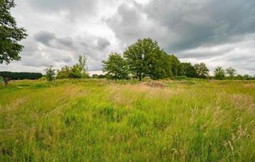 Landbouwgrond te koop te Itegem
