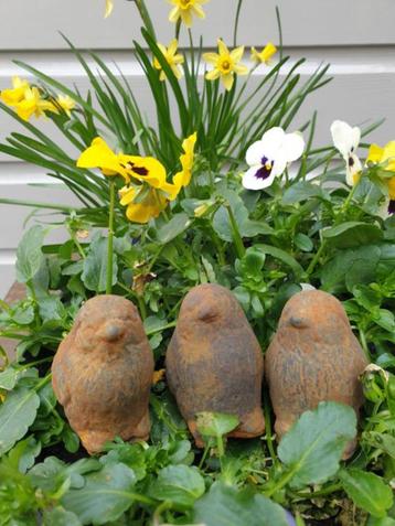 tuinbeeld , kuikentje , set kuikentjes  beschikbaar voor biedingen