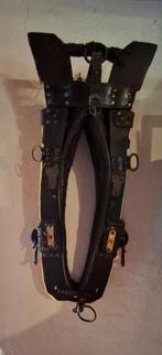 Oud leren paardentuig, Dieren en Toebehoren, Paarden en Pony's | Hoofdstellen en Tuigage, Ophalen