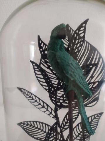 Decoratie onder glas beschikbaar voor biedingen