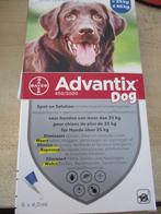 Advantix voor honden, Animaux & Accessoires, Autres accessoires pour animaux, Comme neuf, Advantix / pipetten, Enlèvement ou Envoi