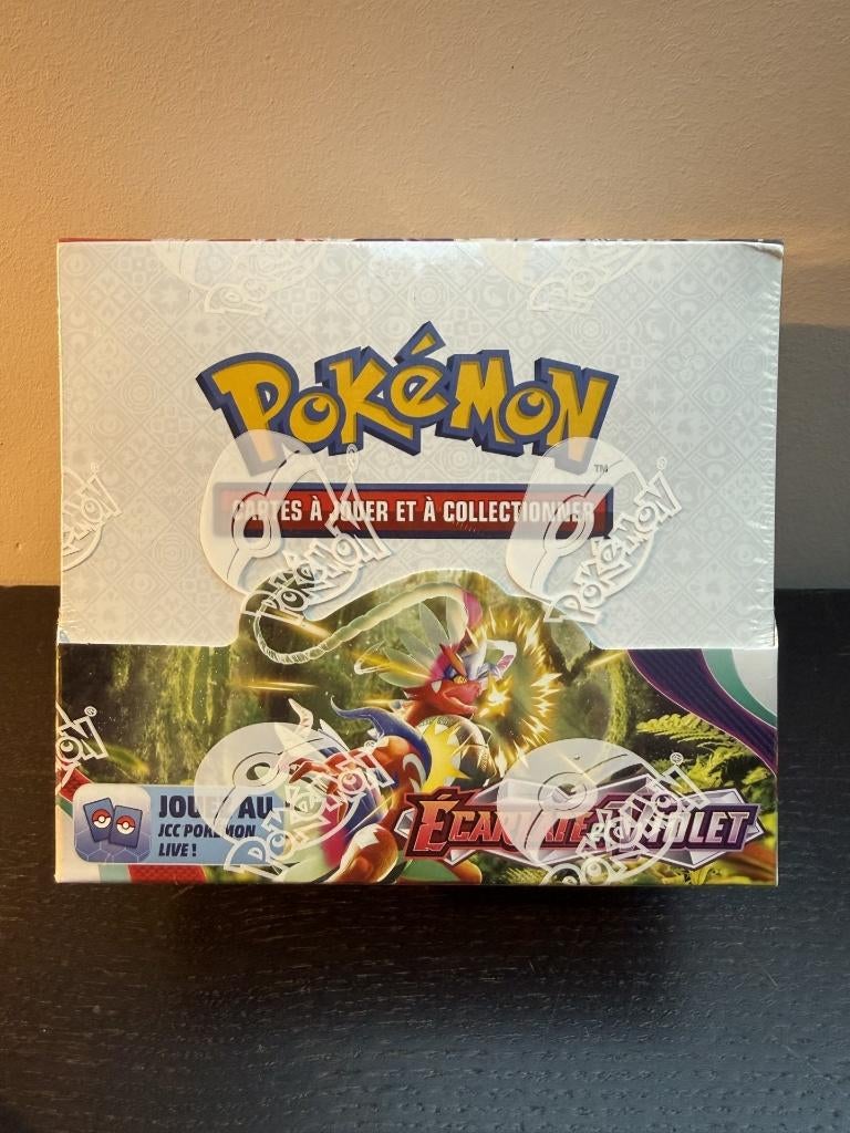 Pokémon display Ecarlate et Violet, Hobby & Loisirs créatifs, Jeux de cartes à collectionner | Pokémon, Enlèvement, Neuf, Booster box