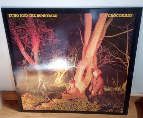 "Crocodiles" (Echo & the Bunnymen) vintage LP ZGAN, Ophalen of Verzenden, Zo goed als nieuw