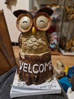 Uil, Ophalen, Nieuw, Dier