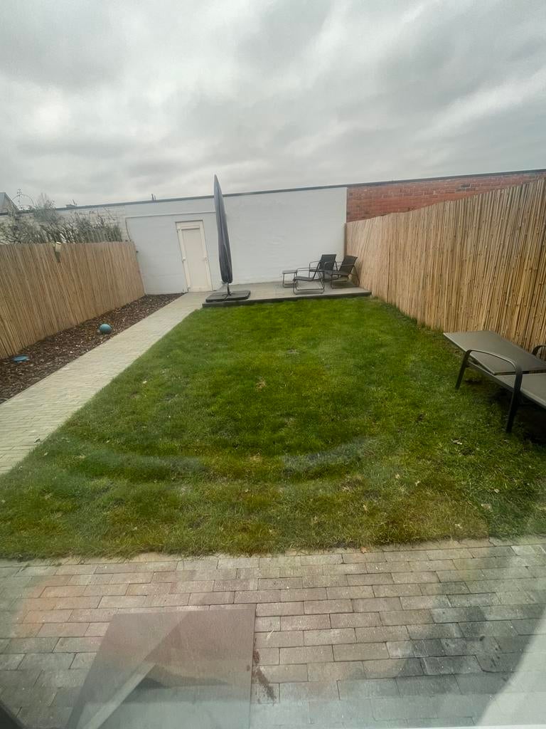 Grasperk (echt gras), Tuin en Terras, Gras en Kunstgras, Ophalen, Gebruikt, 20 m² of meer, Gras