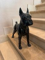 Zwart beeld franse buldog, Ophalen, Zo goed als nieuw