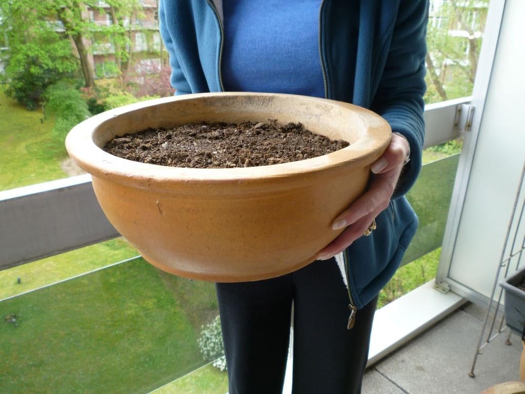 Pot de fleur vintage en grès émaillé, Jardin & Terrasse, Pots de fleurs, Enlèvement, Intérieur