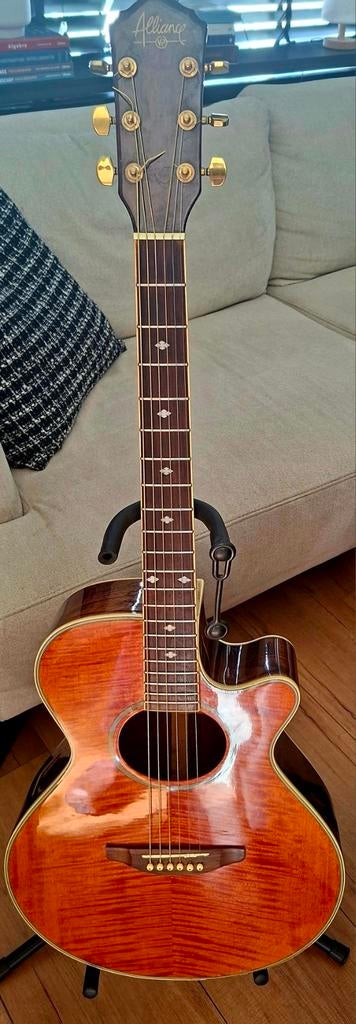 Gitaar., Muziek en Instrumenten, Snaarinstrumenten | Gitaren | Akoestisch, Ophalen of Verzenden