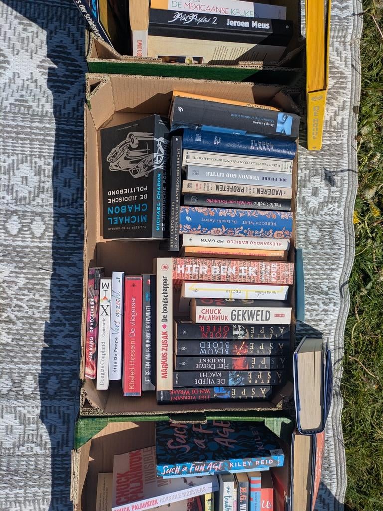 Lot Nederlandstalige romans, Enlèvement