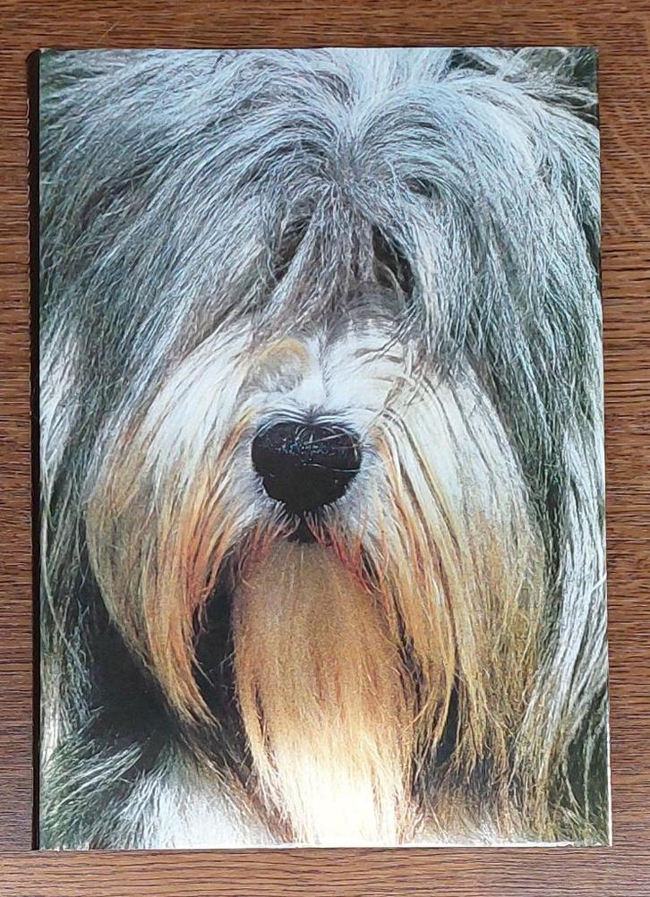 Nieuw - Boeken - Artis Historia, Boeken, Dieren en Huisdieren, Nieuw, Honden, Ophalen of Verzenden