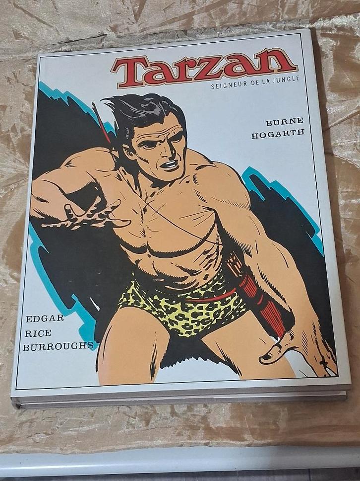 Tarzan Seigneur de la jungle, Livres, BD, Utilisé, Une BD, Enlèvement