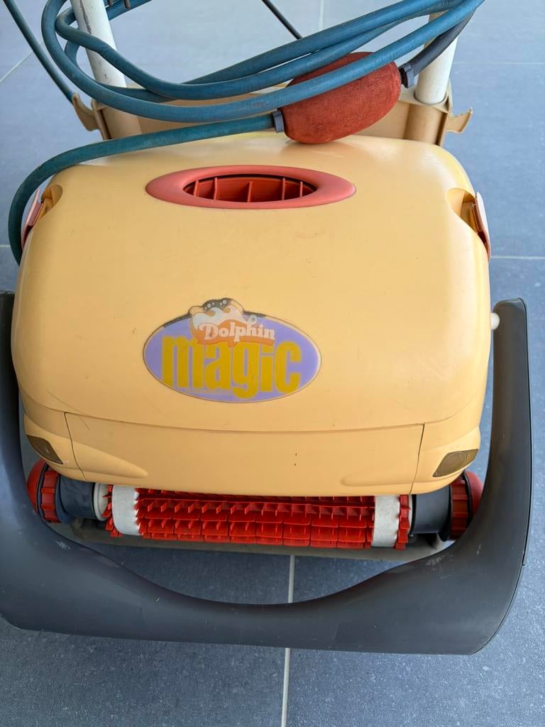 Robot de piscine Dolphin, Jardin & Terrasse, Accessoires de piscine, Enlèvement, Utilisé, Autres types